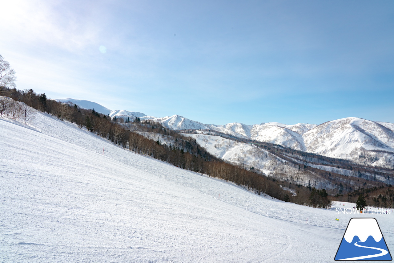 キロロリゾート｜今日の山頂積雪は「340cm」！ビシッと締まったロングコースで快適クルージングが楽しい１日♪